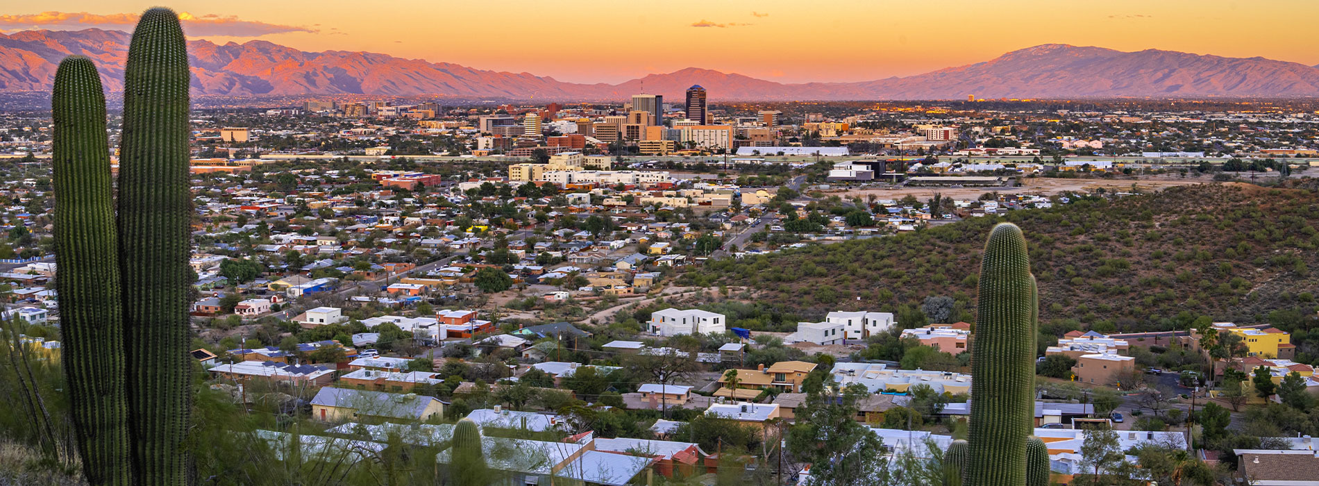 The photo captures a breathtaking view of a city skyline at sunset, with mountains and cacti in the foreground and a clear sky above.