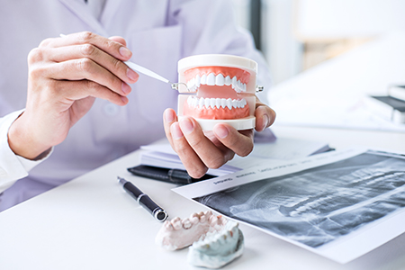 The image shows a dental professional holding up a model mouth with teeth and gums, examining it closely while seated at a table with various dental tools and materials around them.